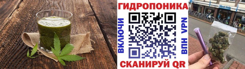 Купить закладки  Светлогорск  Печенье с ТГК конопля 
