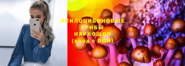 СК Володарск